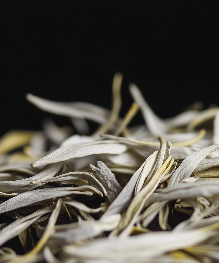White Tea